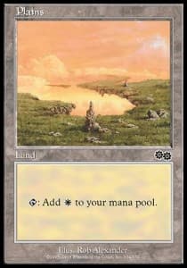 Plains