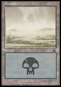 Swamp