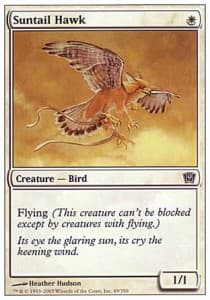 Suntail Hawk