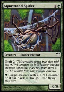 Aquastrand Spider