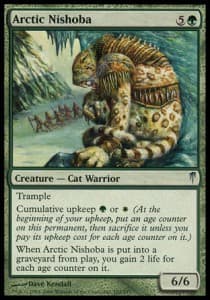 Arctic Nishoba