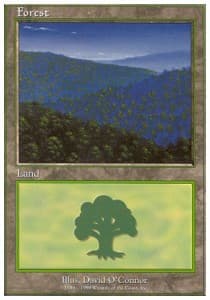 Forest (V.2)