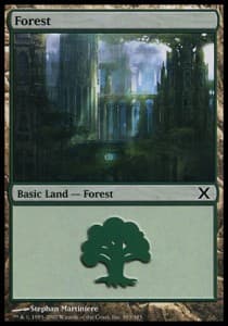 Forest