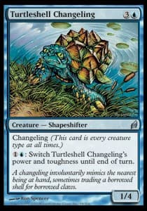 Turtleshell Changeling