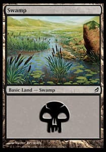 Swamp