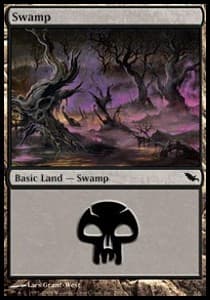 Swamp