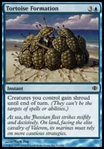 Tortoise Formation