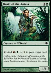 Druid of the Anima