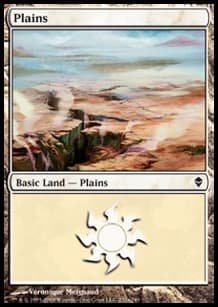 Plains