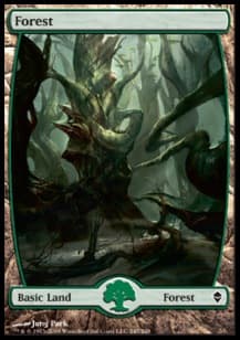Forest