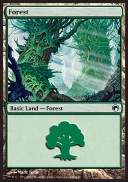 Forest