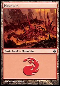 Mountain