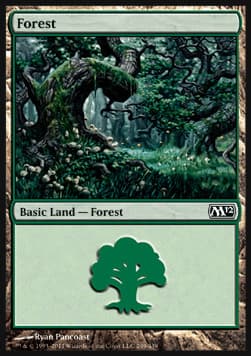 Forest