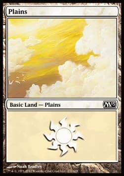 Plains