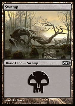 Swamp
