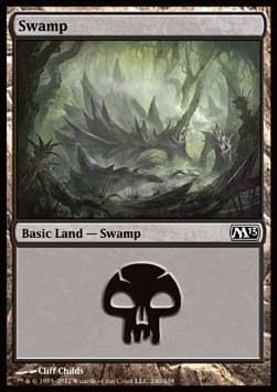 Swamp