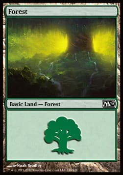 Forest