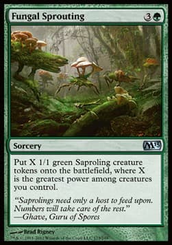 Fungal Sprouting