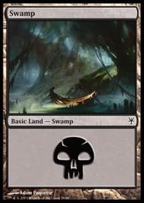 Swamp