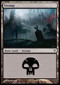Swamp