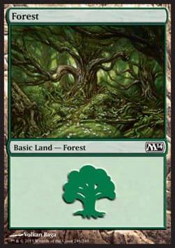 Forest