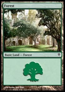 Forest