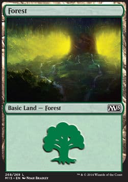 Forest
