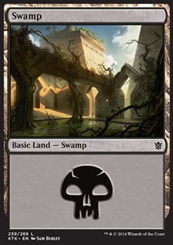 Swamp