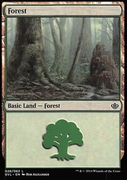 Forest