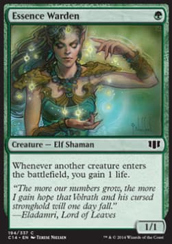 Essence Warden