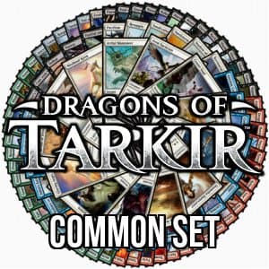 Dragons of Tarkir Common Set