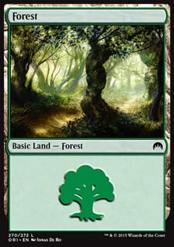 Forest