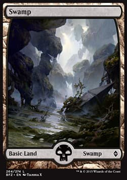 Swamp