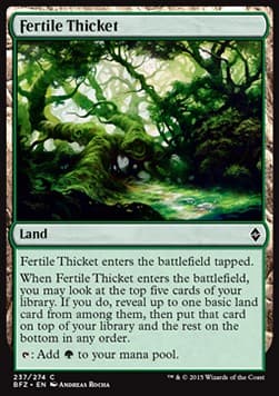Fertile Thicket