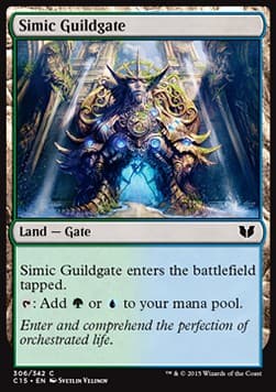 Simic Guildgate