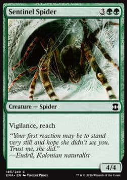Sentinel Spider