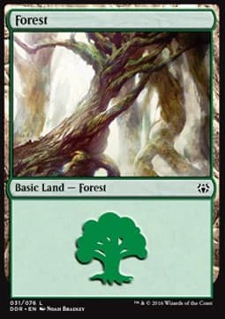 Forest (V.1)