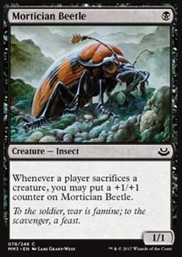 Mortician Beetle