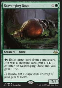 Scavenging Ooze