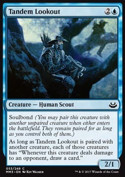 Tandem Lookout