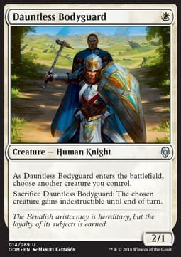Dauntless Bodyguard