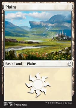 Plains