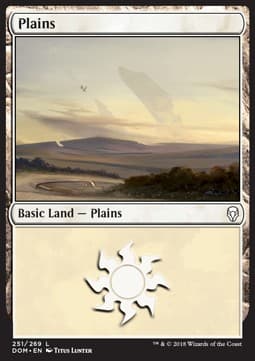 Plains