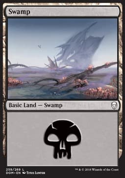 Swamp