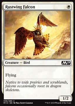 Rustwing Falcon