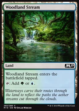 Woodland Stream