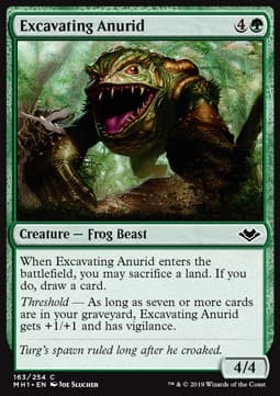 Excavating Anurid