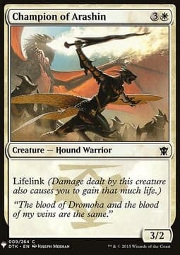 Champion of Arashin