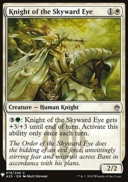 Knight of the Skyward Eye