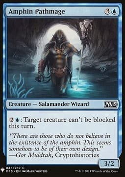 Amphin Pathmage